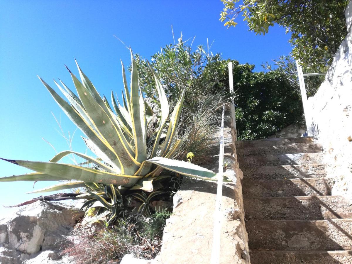 Beach House On The Cliff Zaton  Ngoại thất bức ảnh